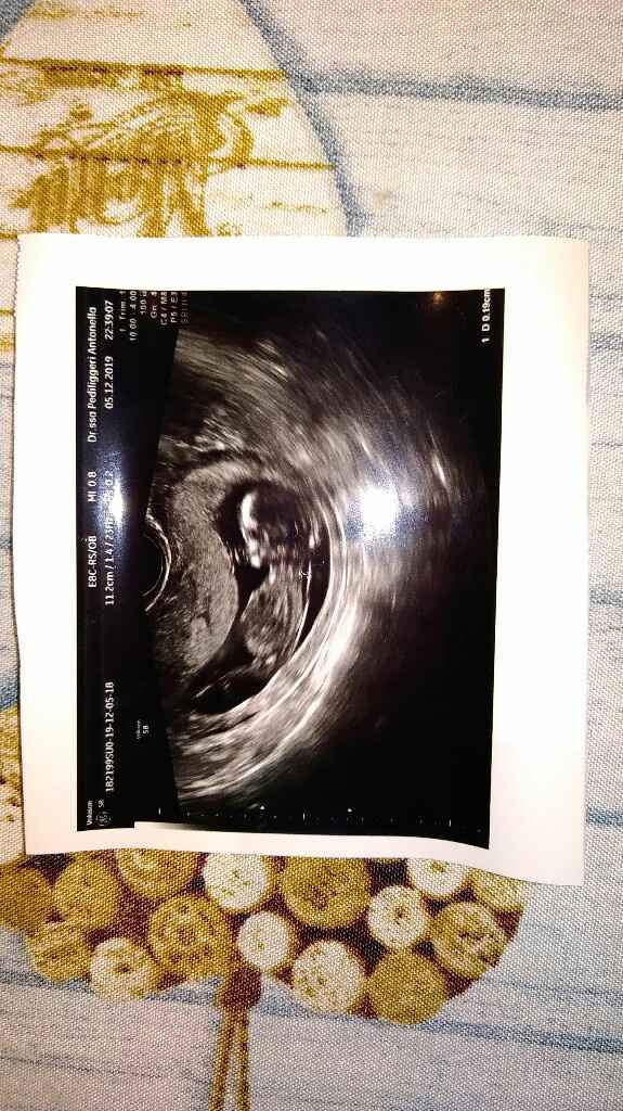 Tutto procede bene - 1