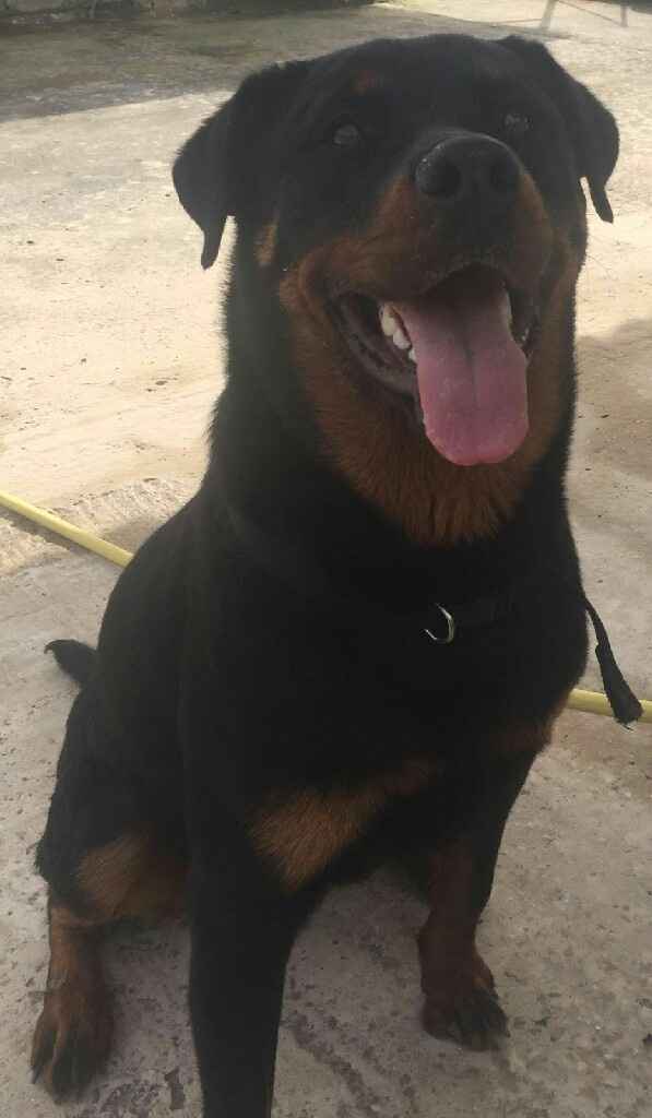 Foto con pelosetti - 2