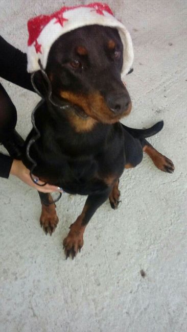 Foto con pelosetti - 1