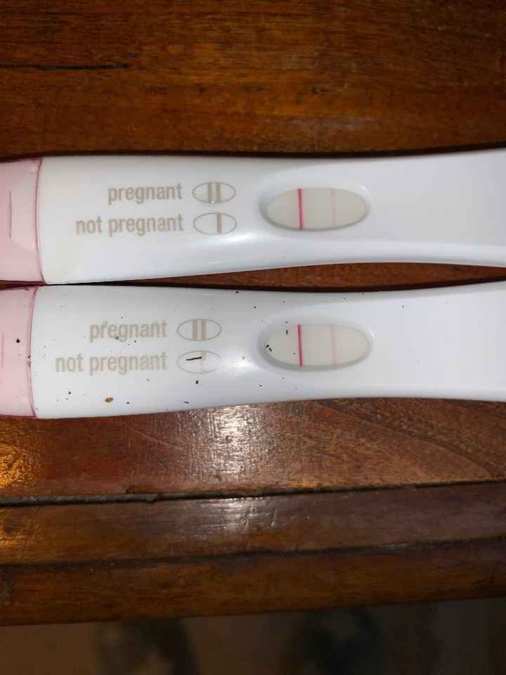 Test gravidanza sbiadito - 1