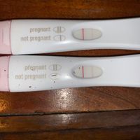 Test gravidanza sbiadito - 1