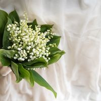 Consiglio bouquet country chic - 1