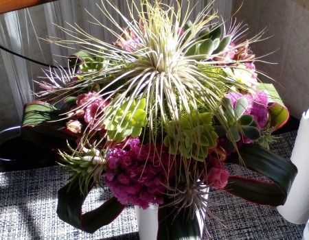 bouquet piante grasse e tillansie 2