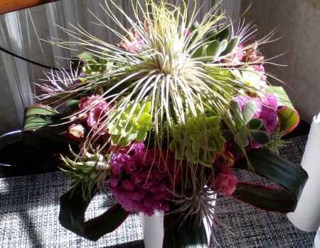 bouquet piante grasse e tillansie 2