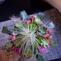 bouquet piante grasse e tillansie