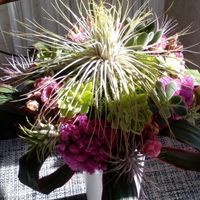 bouquet piante grasse e tillansie 2