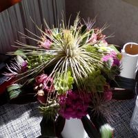 bouquet piante grasse e tillansie 3