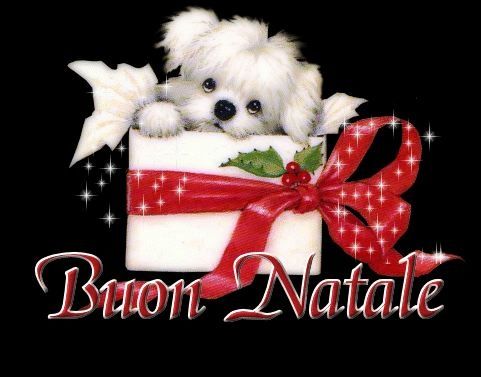 Buon natale