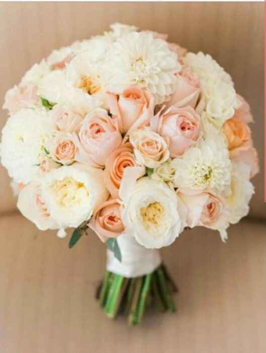  Color pesca ovunque - 2