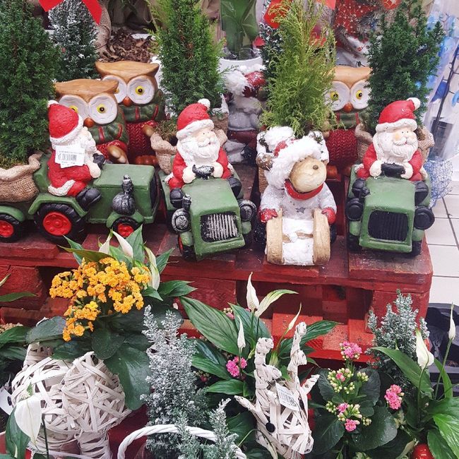 Bomboniere natalizie! 2