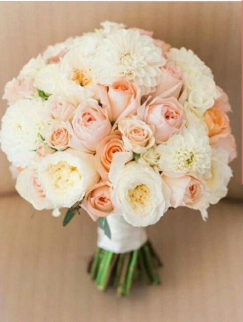  Color pesca ovunque - 2