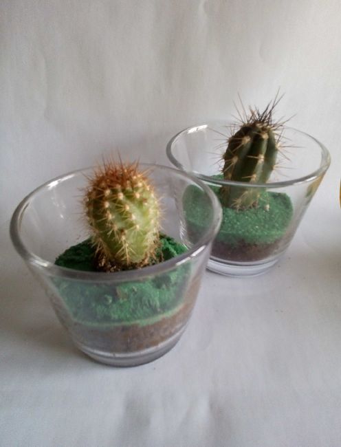  Finalmente finite 😊 - 2