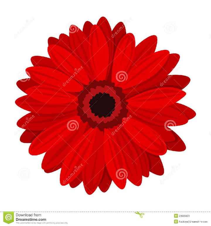  Scelta dei fiori 💐 - 1