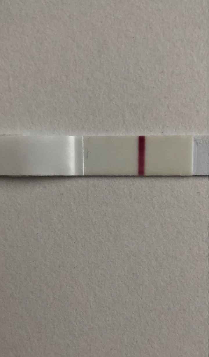Aspiranti mamme di Novembre 2018!!!🍀 - 1