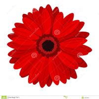  Scelta dei fiori 💐 - 1