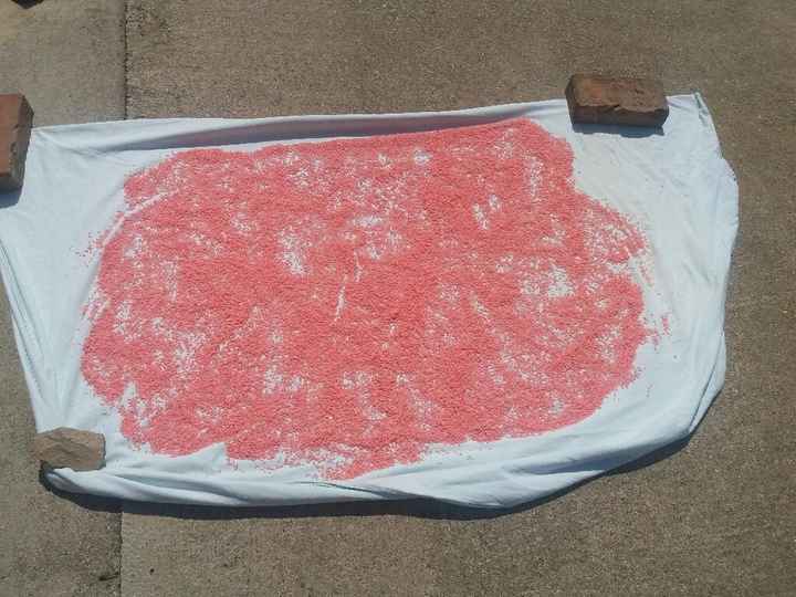 Riso colorato...work in progress!! - 1