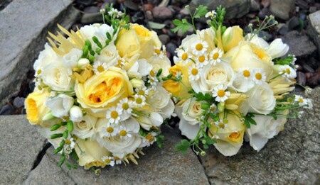 Fiori: guardate le foto e consigliatemi - 2