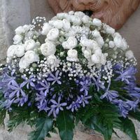 Ecco i fiori che ho scelto - 1