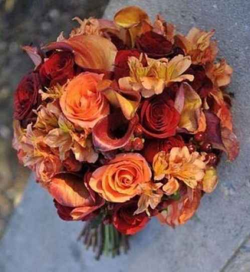 Il vostro colore?! - 1