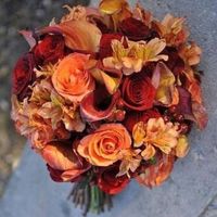 Il vostro colore?! - 1