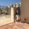 Fede