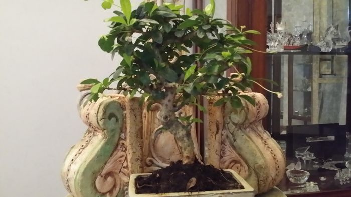 Sacchetti fai da me e tag bomboniere - 1