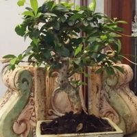 Sacchetti fai da me e tag bomboniere - 1