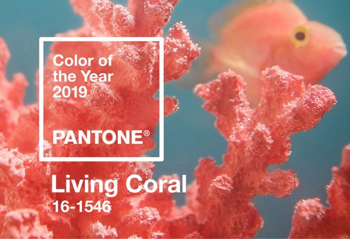 Corallo: il colore del 2019! - 4