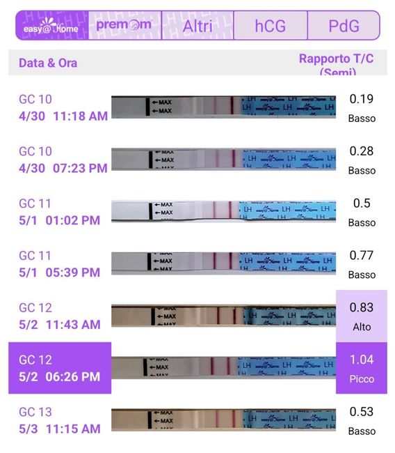 Chi non le aspetta per maggio 2024 🌹💛 - 1