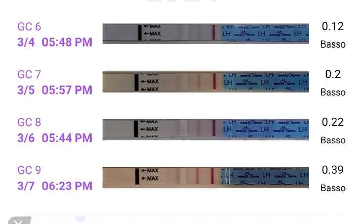 Sfogo da ricerca gravidanza - 1