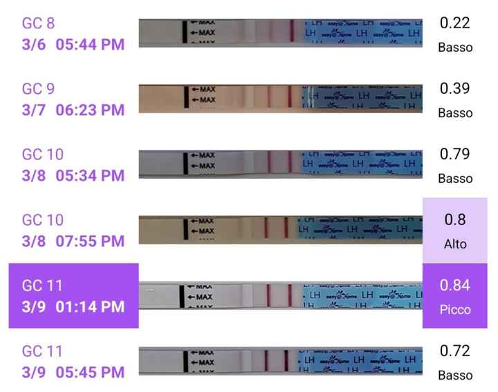 Chi non le aspetta per marzo 2024 💚💪🏻 - 1