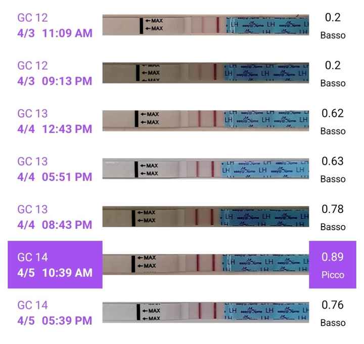 Per chi non le aspetta Aprile/maggio 2024🍀🐞 - 1