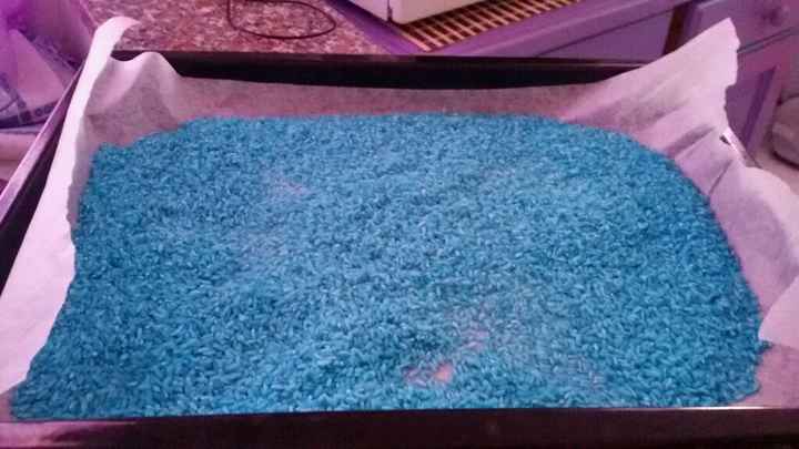 Il mio riso..  a metà!!! - 1