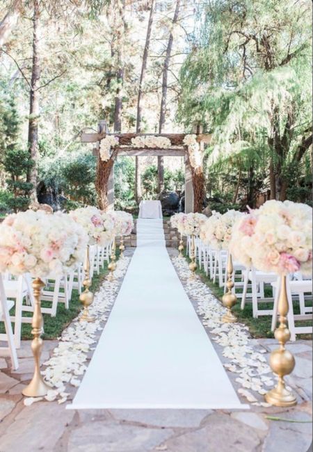 Petali quanti ne servono? 3