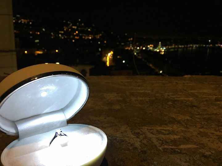 Mi fate vedere il vostro anello della proposta?? - 1