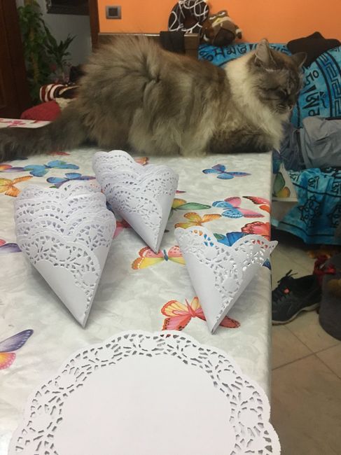 Coni porta riso? - 1