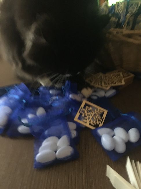 -15 ed ecco le mie bomboniere! - 3