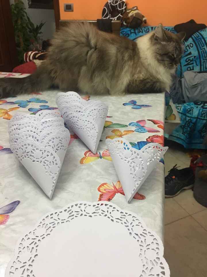 Coni porta riso? - 1