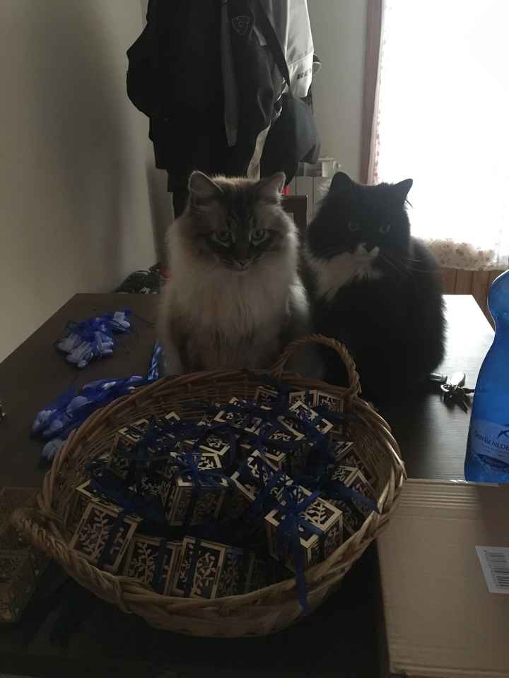 -15 ed ecco le mie bomboniere! - 2