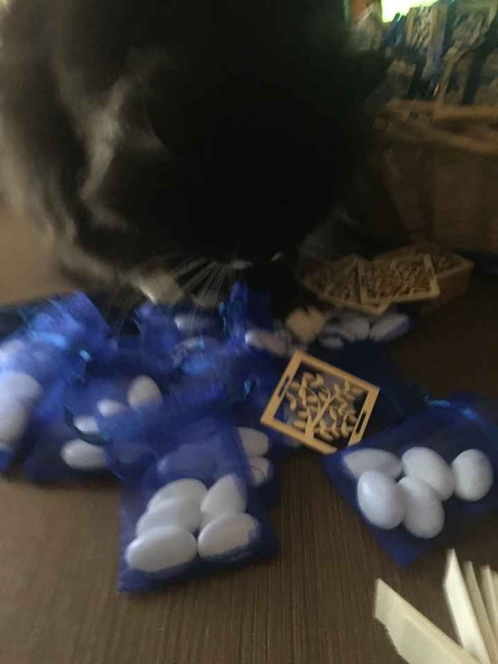 -15 ed ecco le mie bomboniere! - 3