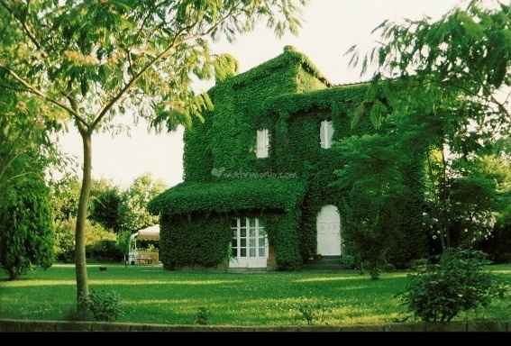 Quale location avete scelto per il ricevimento? - 1