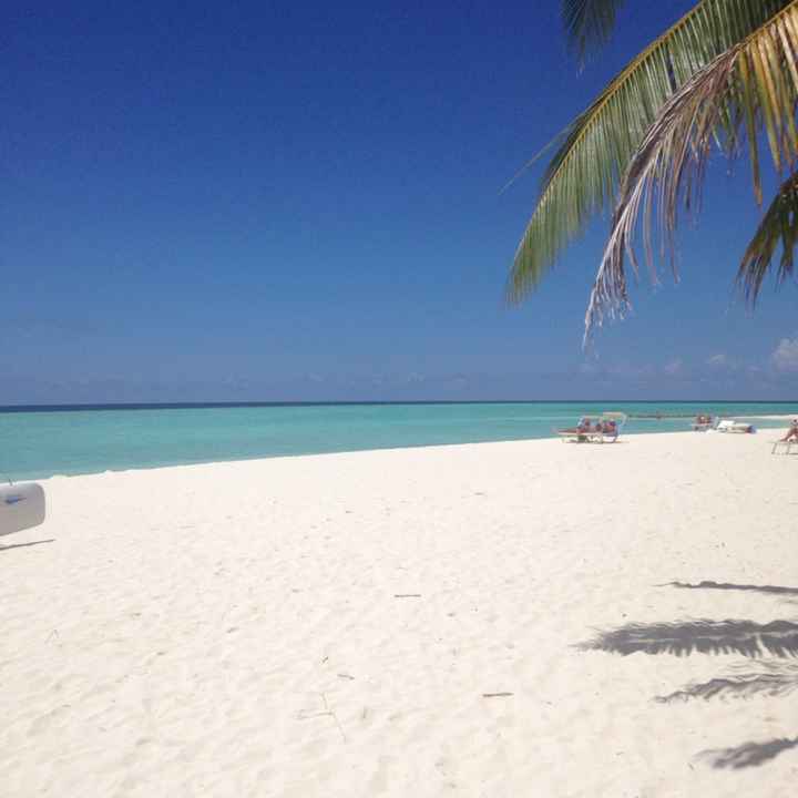 Tornati dal paradiso - 4