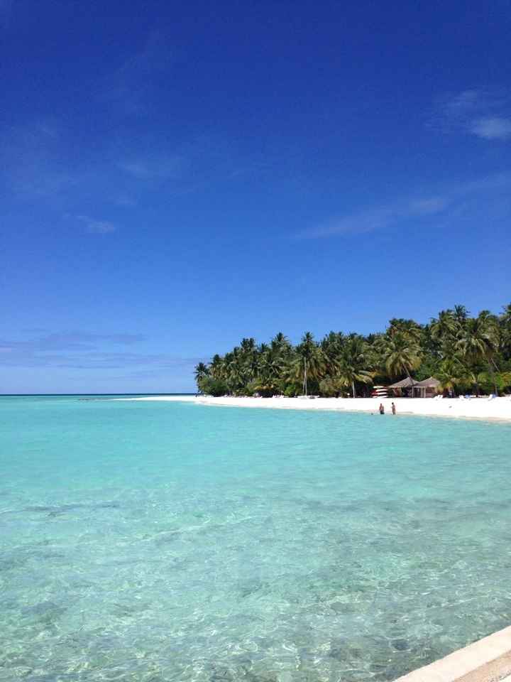 Tornati dal paradiso - 8