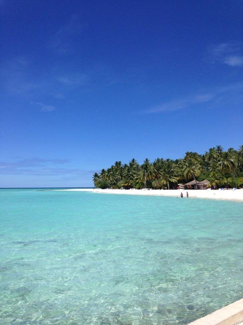 Tornati dal paradiso - 8