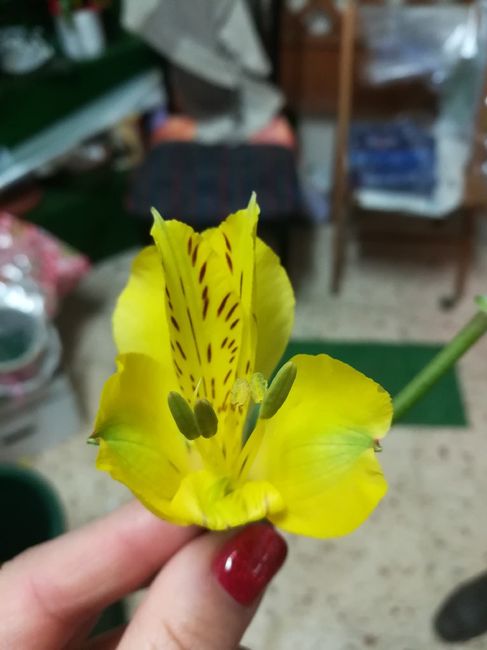 Fiori allestimento 4