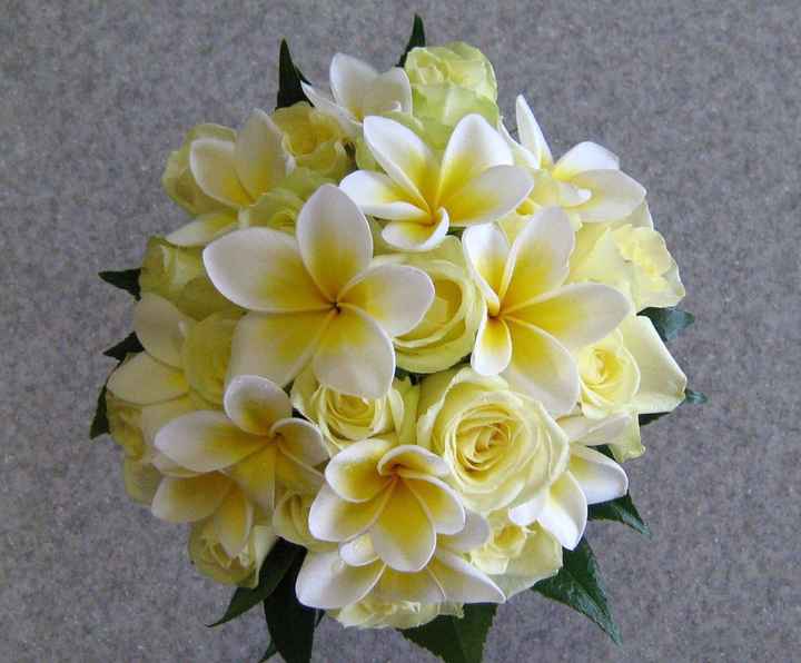 Rose Gialle e Frangipane
