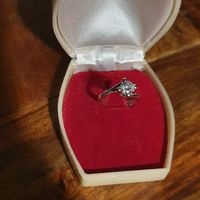 Proposta di matrimonio - 1