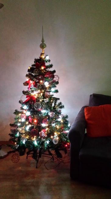 Il vostro albero di Natale! - 2