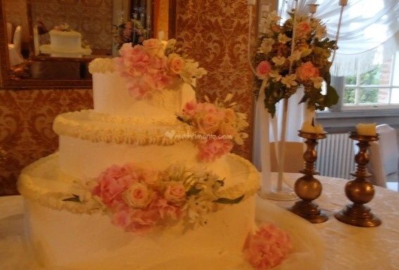 Scelta torta - 2