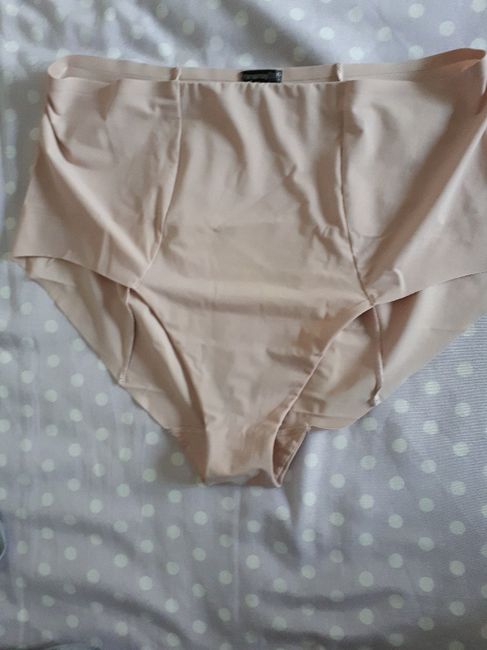 Intimo slip sotto l’abito 1
